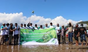 PT Hengjaya Mineralindo Canangkan Gerakan Tanam Mangrove di Lafeu Morowali