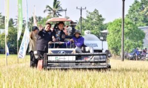 Panen Raya Padi di Tengah Kemarau Panjang di Maros, Pj Gubernur Sulsel Sampaikan Apresiasi