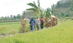 Ketua TP PKK Luwu Serahkan Bantuan Program Percepatan Penghapusan Kemiskinan Ekstrim