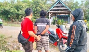Pencuri 70 Ekor Bebek di Walenrang Ditangkap, Polisi: Gegara Judi Online