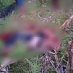 Pria di Luwu Utara Ditemukan Tewas Bersimbah Darah, Pelaku Diamankan Polisi