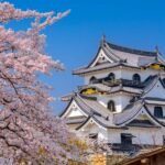 Destinasi Wisata Populer Sekitar Hikone Castle