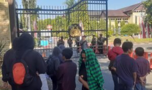 Diduga Menambang Tanpa Izin di Seko, Demonstran Desak Polda Usut dan Pidanakan Pimpinan PT Latanindo