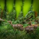 PT Vale Rilis Laporan Keberlanjutan 2023, Tegaskan Komitmen Wujudkan Net Zero Emission Tahun 2050