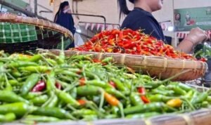 Harga Cabai Rawit di Sinjai Meroket Jelang Lebaran