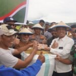 Panen Raya Serentak Nasional, Wabup Lutim Dampingi Petani di Tawakua