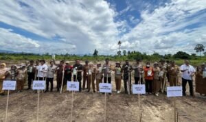 Dukung Ketahanan Pangan, Polres dan Pemkab Luwu Utara Tanam Jagung Serentak