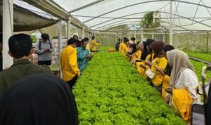 Mahasiswa Agroteknologi UNCP Ikuti Field Trip Edukatif ke Malino Gowa, Tingkatkan Pemahaman Pertanian Berkelanjutan