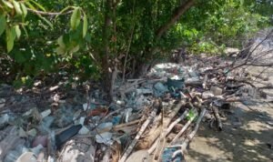 YLH Tana Merah Ajak Warga Bersih-bersih Pantai Pulau Buaya