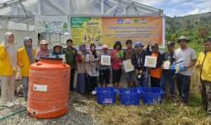 Petani Bone Lemo Terapkan Teknologi IoT untuk Hadapi Panas Ekstrem