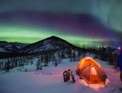 Cara Terbaik Mengabadikan Aurora Borealis di Tromsø Tanpa Ribet